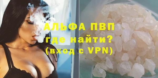 мдпв Вяземский