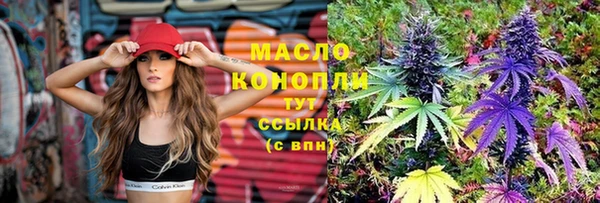 гидра Строитель