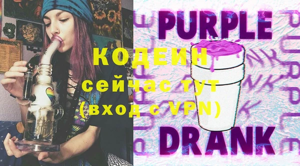 индика Волосово
